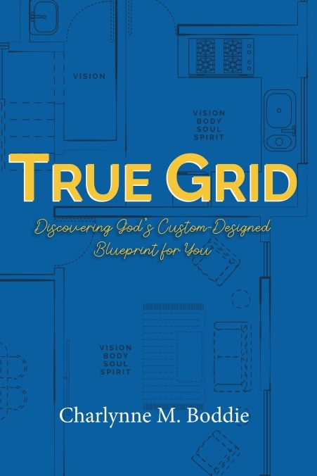 image of True Grid book